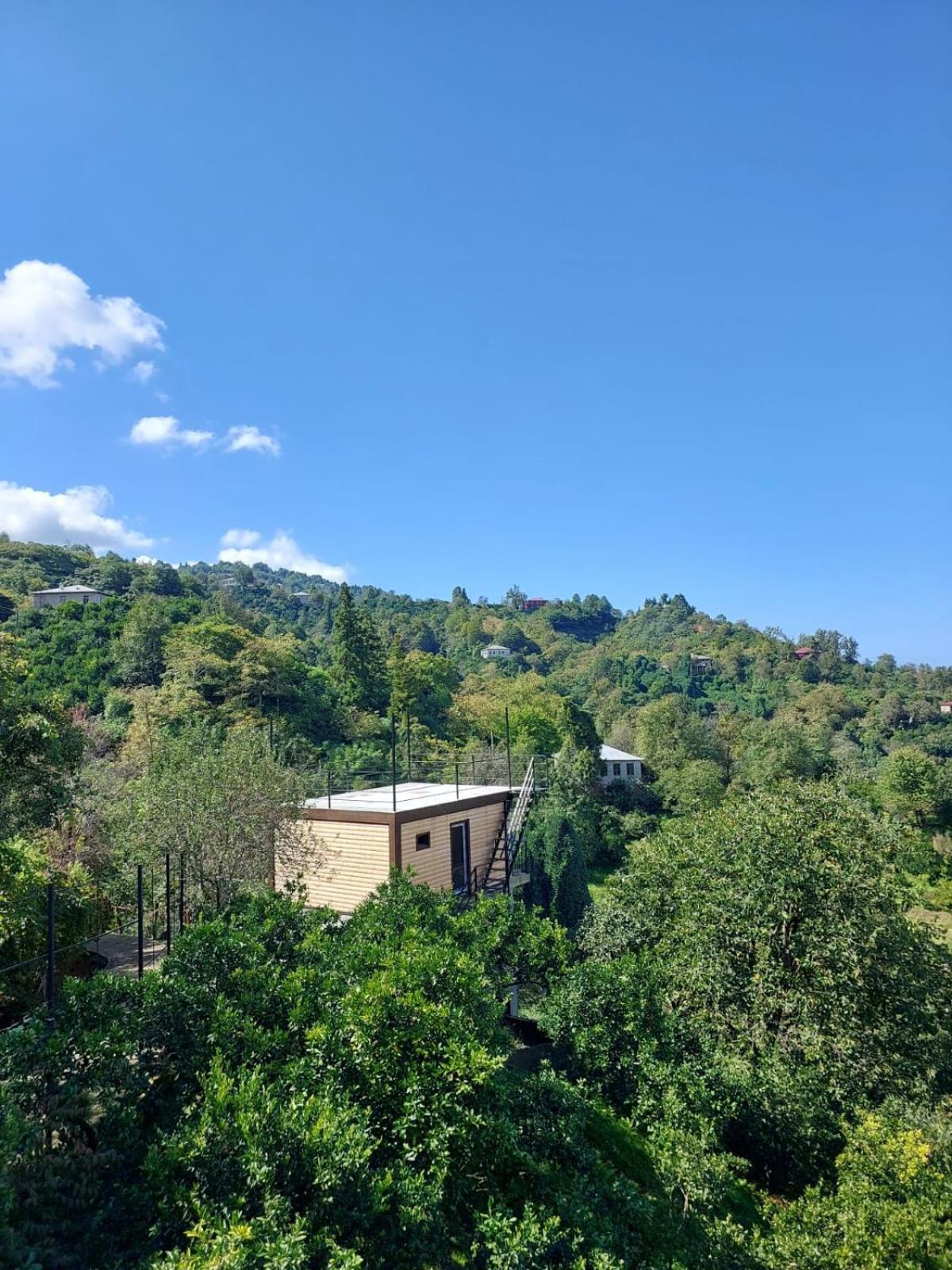 Hotel Mtirala House Khala Pokoj fotografie